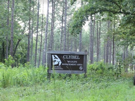 Clybel wildlife management area. Things To Know About Clybel wildlife management area. 